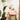 Mastering the Art of Mixing and Matching Quality Furniture Styles - Inspired Rooms