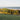 a grassy field with trees and a beach in the background