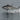 a fish is jumping out of the water