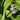 a black and white butterfly sitting on a green leaf