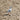 Seagull stands on a textured sandy beach.