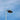 Seagull perched on a lamp post against blue sky.