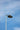 Seagull perched on a lamp post against blue sky.