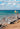 A beach with a clear sky and warning signs.