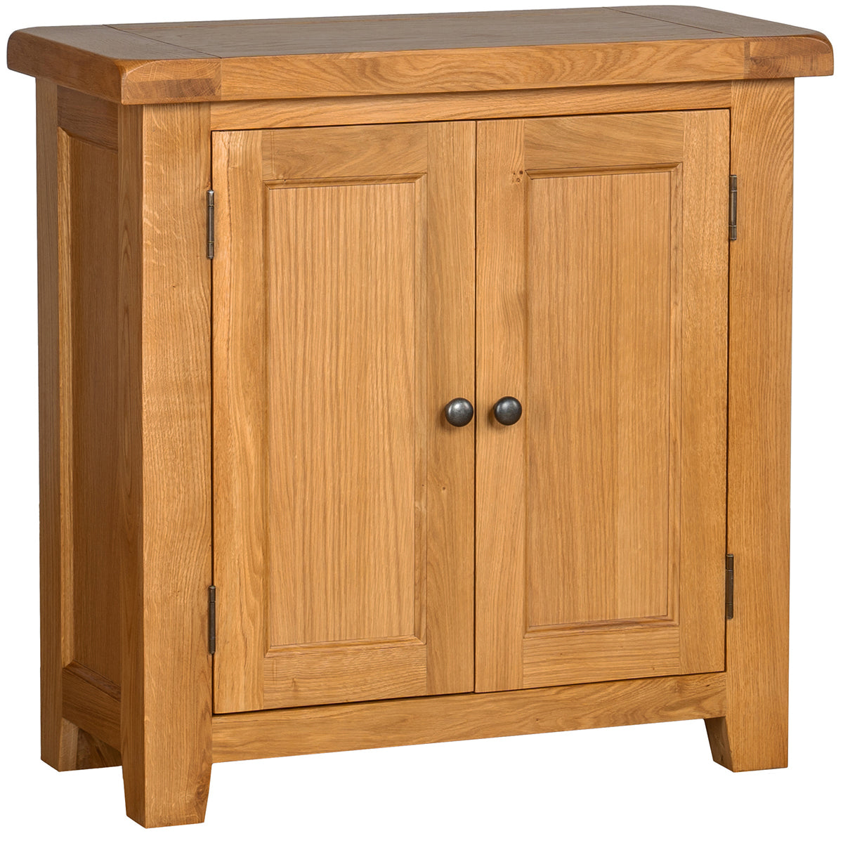 2 Door Cabinet